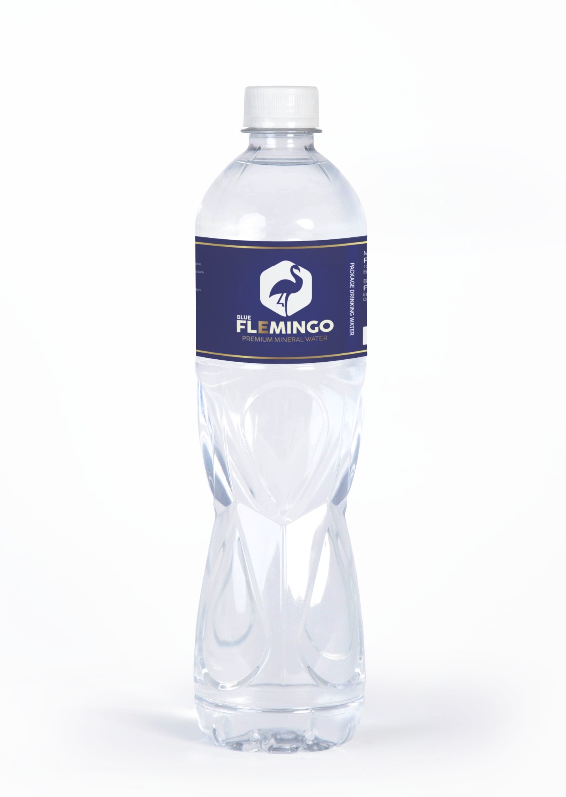 Water Bottle and Ice Cubes